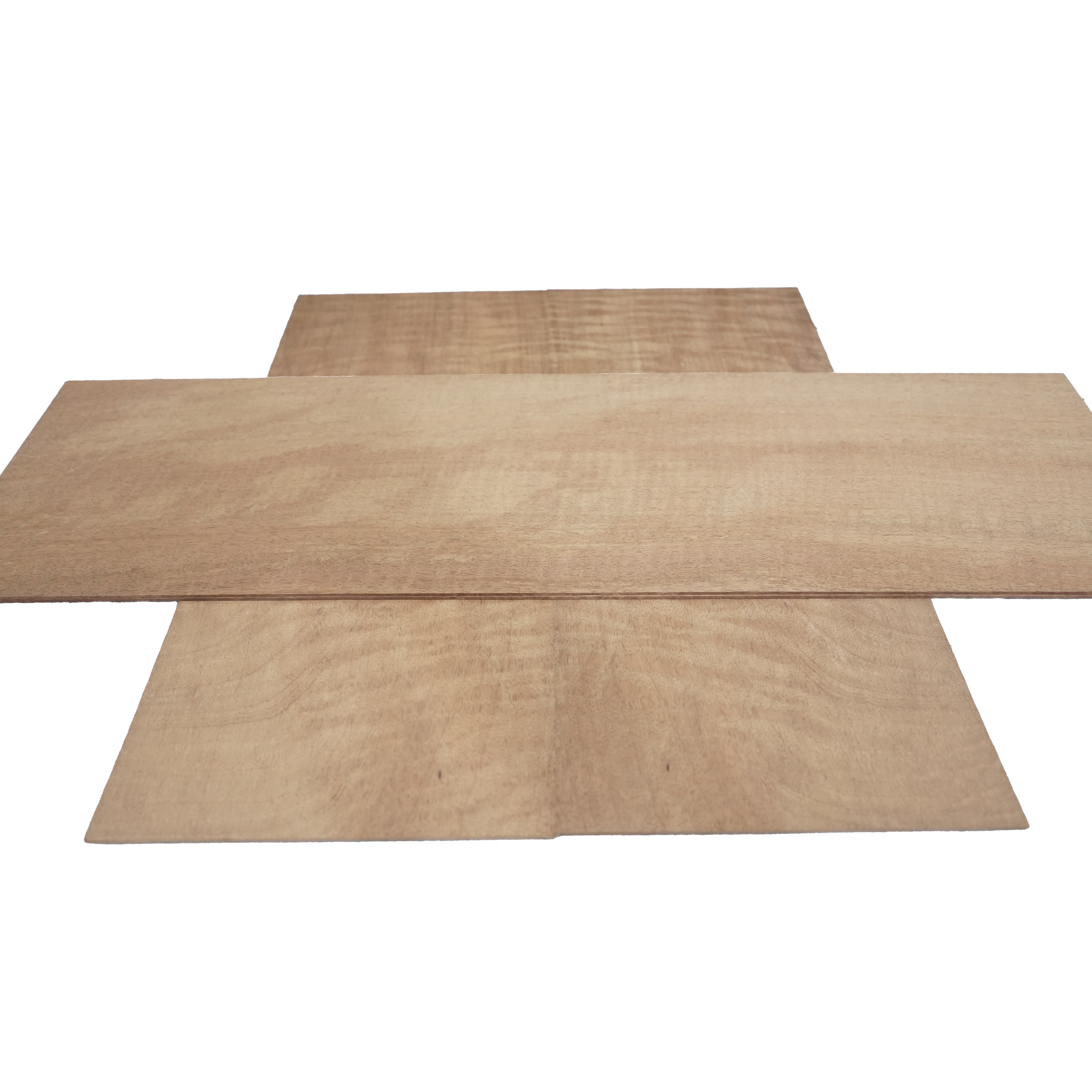 Mango carbonized back and sides - Image 3